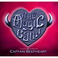 Proper S&D Consignment Magic Band: Plays the music of Captain Beefheart