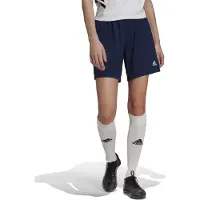 Adidas Entrada 22 Shorts