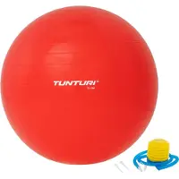 Tunturi Gym Ball Fitboll