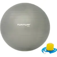 Tunturi Anti Burst Gymboll 55-90cm (silver) - 65cm