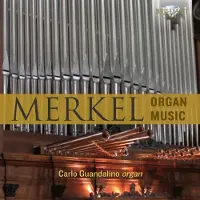 Brilliant Merkel Gustav Adolf: Organ Music