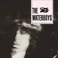 Import The Waterboys: Waterboys