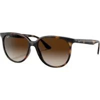 Ray-Ban 0RB4378 Solglasögon -