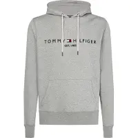 Tommy Hilfiger Hoodie Core Grå Storlek