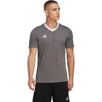 Adidas Tränings T-Shirt Entrada 22 - Grå/Vit, storlek XX-Large