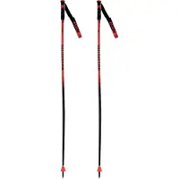 Rossignol Hero Gs-sg Stavar