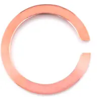 Glam Rock Gc2203gr Bezel Watch Durchsichtig Man