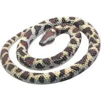 Wild republic Rock Python, Gummislang Leksak, Gåvor till Barn, Pedagogiska Leksaker, 66 cm, Multi