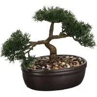 Atmosphera Bonsai-träd i sortj-kruka 23 cm