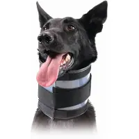 Kvp Bite Free Hundhalsband