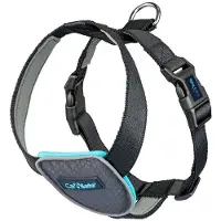 Company of animals Carsafe Travel Dog Hundsele