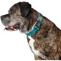 Hunter Pet Plus Thread Hundhalsband