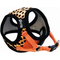 Gloria Leopard Hundsele