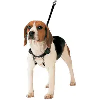 Gloria S6103716 Hundsele