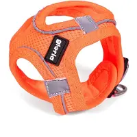 Gloria Air Mesh Trek Star Hundsele