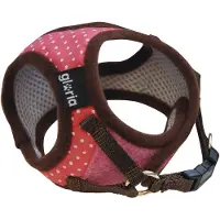 Gloria Dots Hundsele