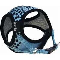 Gloria Leopard Hundsele