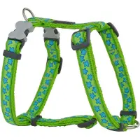 Red Dingo Style Star Hundsele