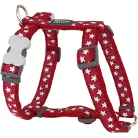 Red Dingo Style Star Hundsele