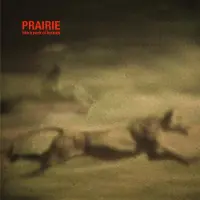 Ginza.se Prairie: Like A Pack Of Hounds