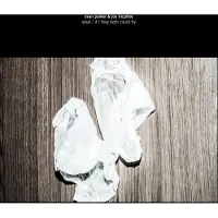 Ginza.se Parker Evan & Tony Mc Phee: What/If/They Both...