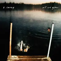 Konkurrent S. Carey: All We Grow