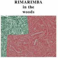 Konkurrent LP-skiva RIMARIMBA - In The Woods FTS007 Freedom To Spen 2019 USA Dans & Elektronisk Musik