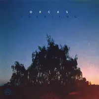 Ginza.se Orcas: Yearling