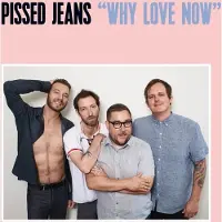Ginza.se Pissed Jeans: Why Love Now