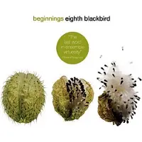 Ginza.se Eighth Blackbird: Beginnings