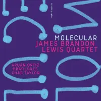 Ginza.se Lewis James Brandon: Molecular
