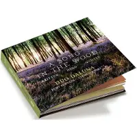 OUTHERE Duo Daluna: A Song in the Wood