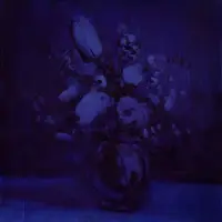 Ginza.se Deaf Wish: Lithium Zion