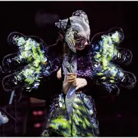 Ginza.se Björk: Vulnicura Live