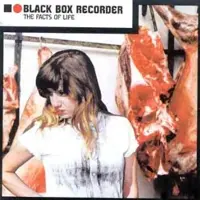 Ginza.se Black Box Recorder: Facts of Life