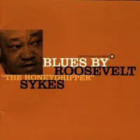 Ginza.se Sykes Roosevelt: Blues By Roosevelt
