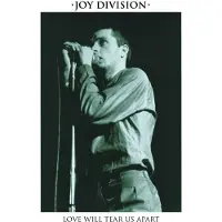 RecordCityJP 12-tums skiva JOY DIVISION - Love Will Tear Us Apart CLO1690 Cleopatra 2020 US Rock
