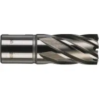 Milwaukee Hålsåg HSS 4932343276; 20x30 mm