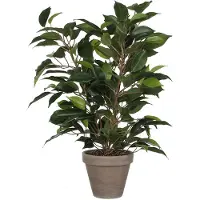 Mica Ficus Natsja Konstgjord Växt