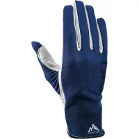 LEKI Guide Premium Handskar