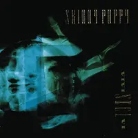Ginza.se Skinny Puppy: Vivi Sect VI