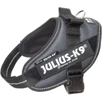 Julius-K9 Idc Power Mini Hundsele