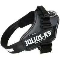 JULIUS K-9 Idc Power Hundsele