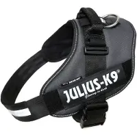 JULIUS K-9 Idc Power Hundsele