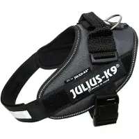 Julius-K9 Idc Power Hundsele