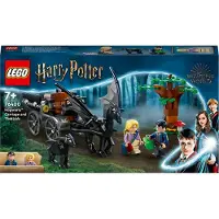 LEGO HARRY POTTER 76400 Harry Potter Diligensen och Thestrals från Hogwarts, leksak och minifigur av hästar och vagn från 7 år Flerfärgad