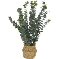 Progarden konstgjord eukalyptus i korg, 50 cm