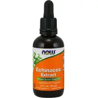Now , Echinacea Extrakt, 2 fl oz (59 ml)