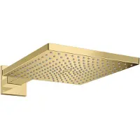 Hansgrohe Raindance E300 duschhuvud för vägg, polerad guldlook