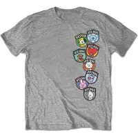 Ginza.se BT21: Unisex T-Shirt/Badges (Grey) (Large)